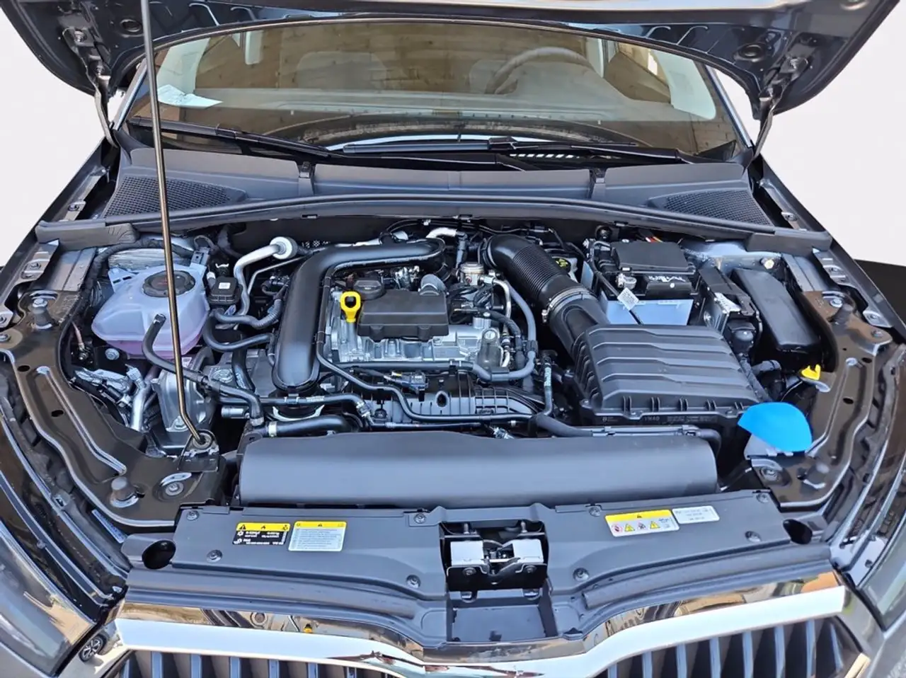 Skoda Fabia 10