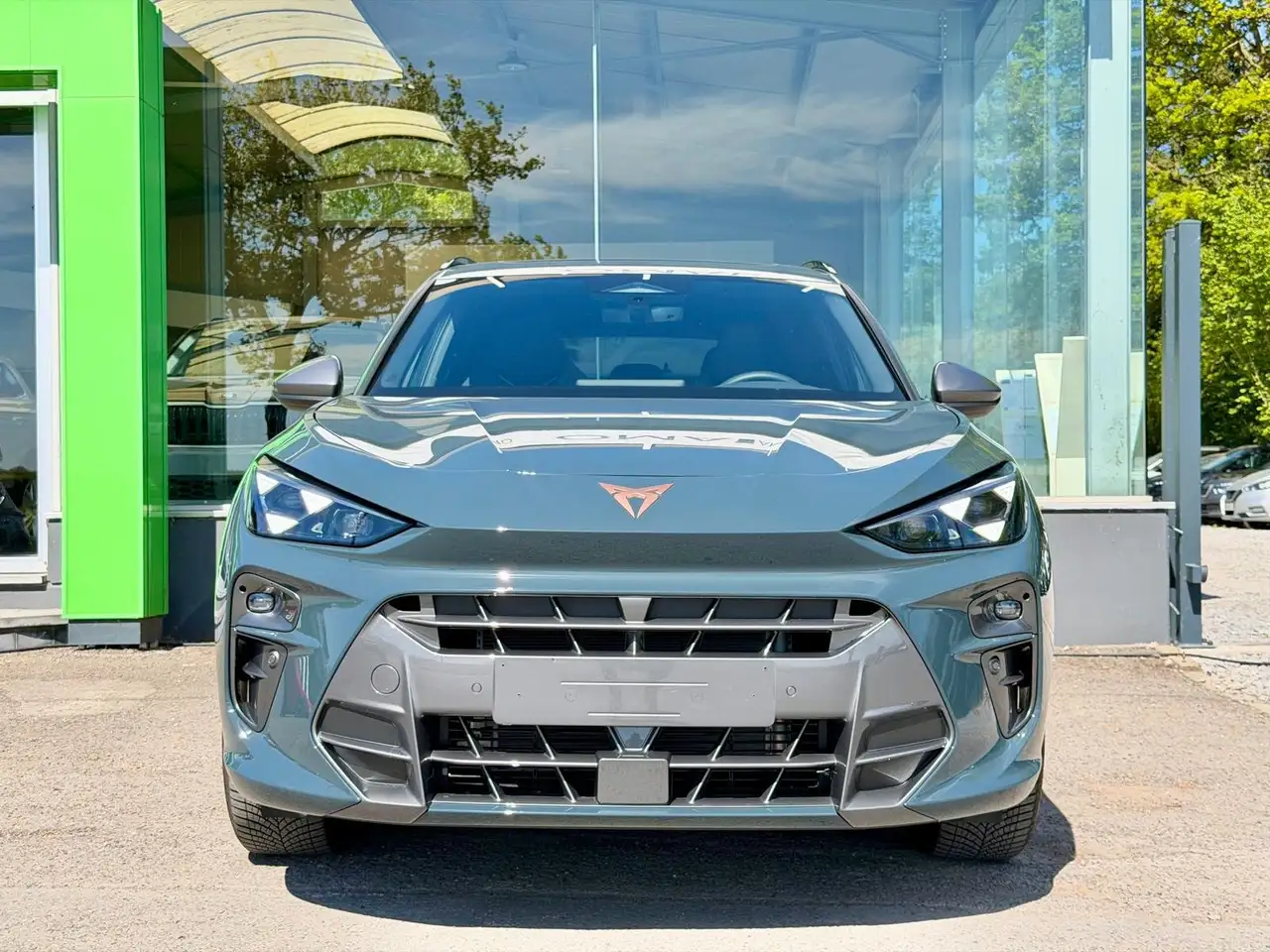 Cupra Terramar 3