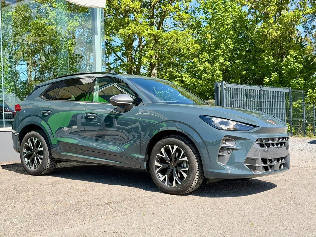 Cupra Terramar 4