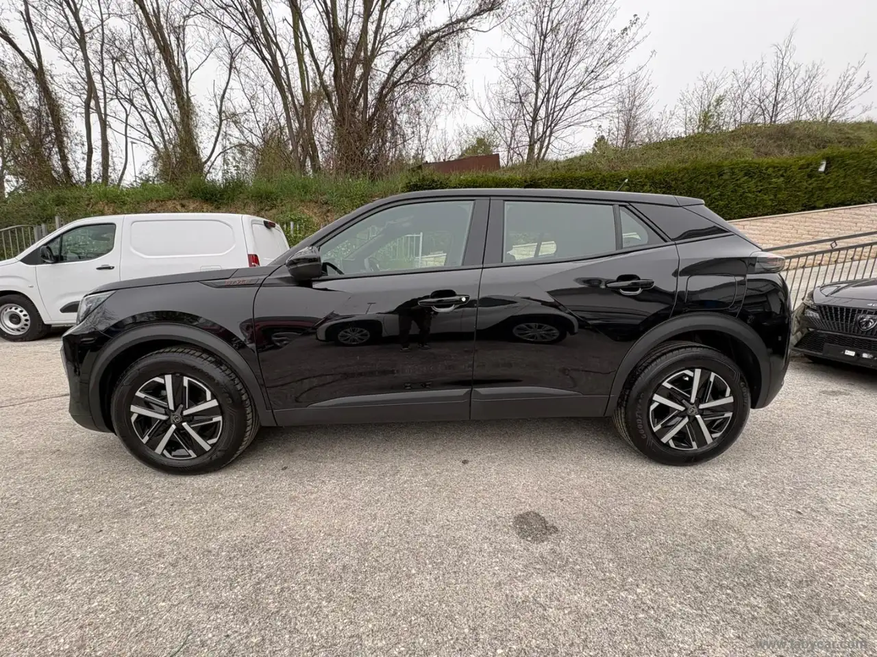 Peugeot 2008 8
