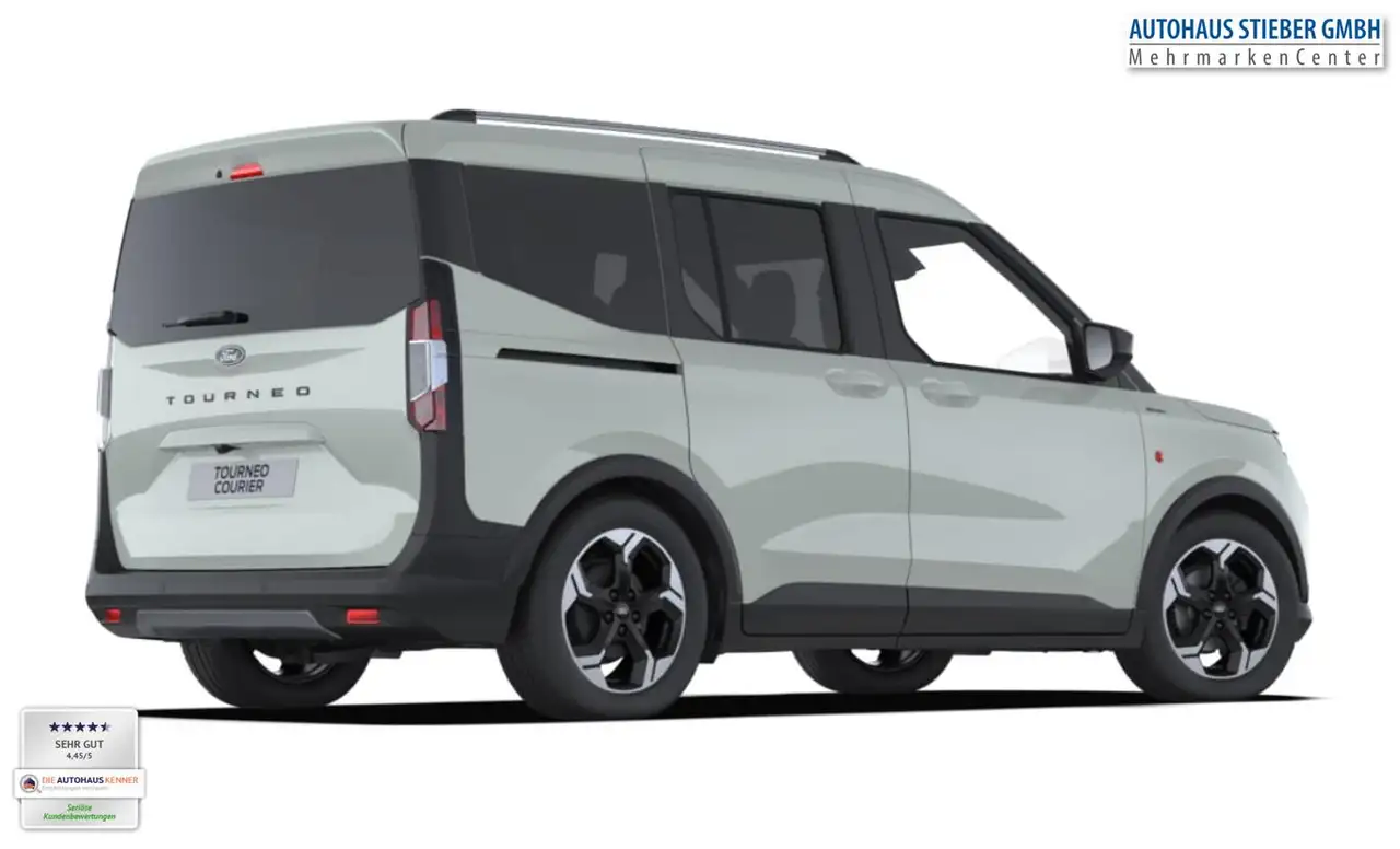 Ford Tourneo 4