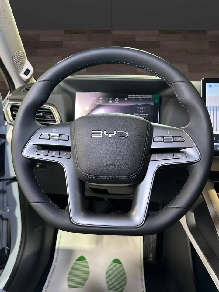 BYD Atto 2 7