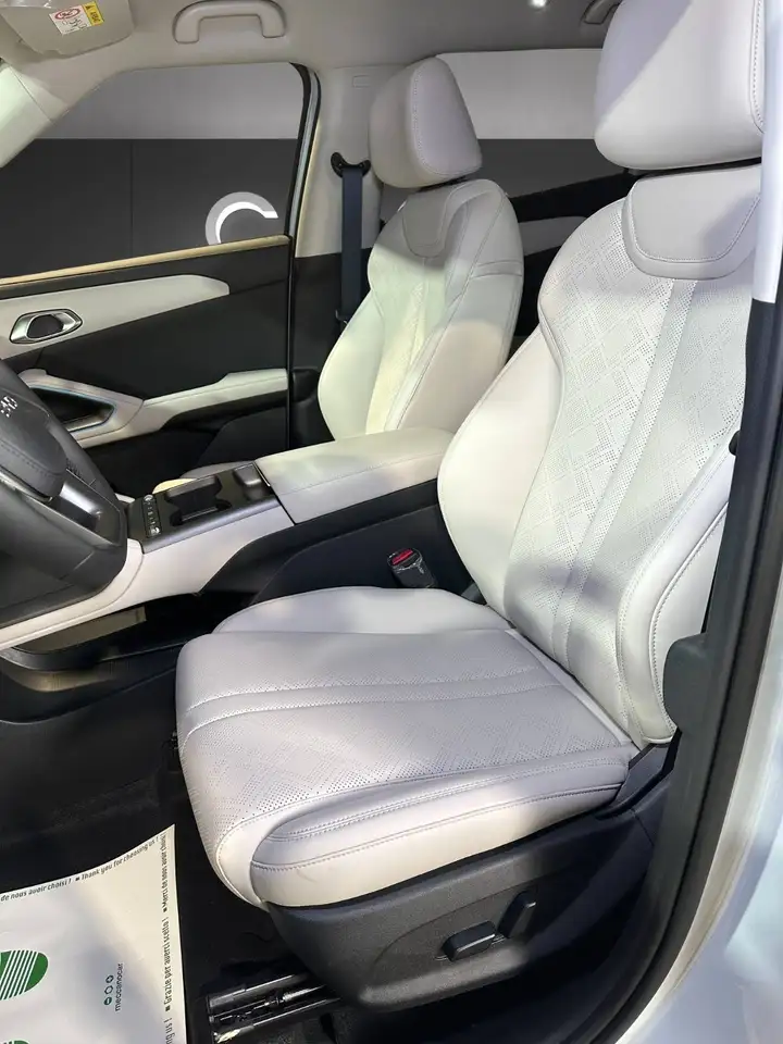 BYD Atto 2 10