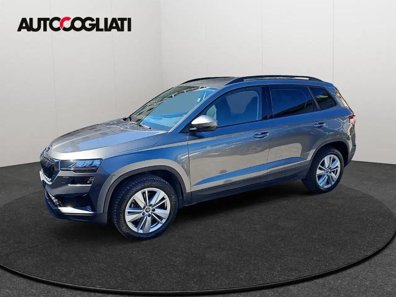 Skoda Karoq 8