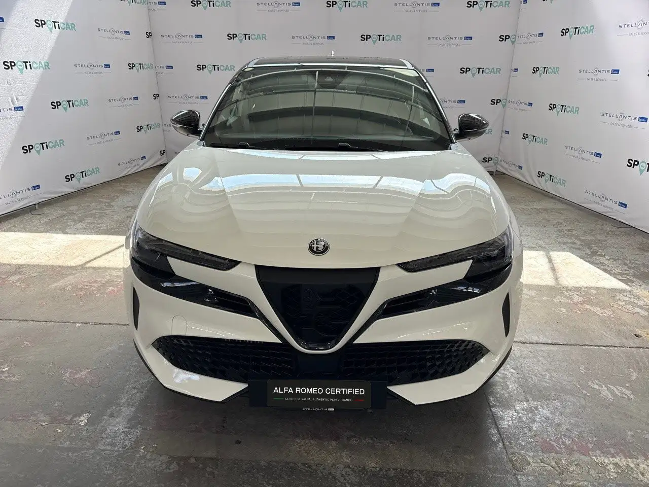 Alfa Romeo Junior 6
