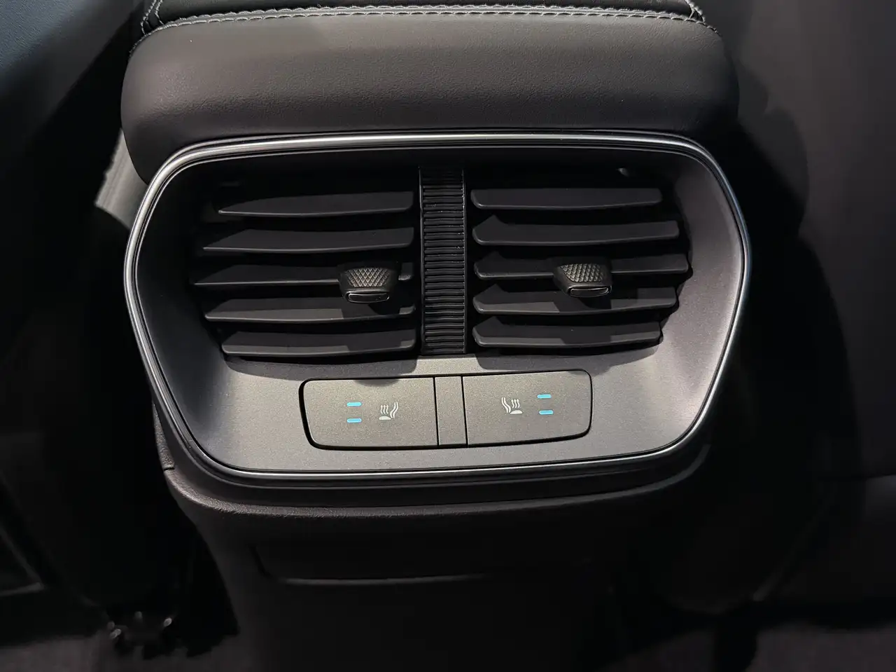 BYD Sealion 7 10