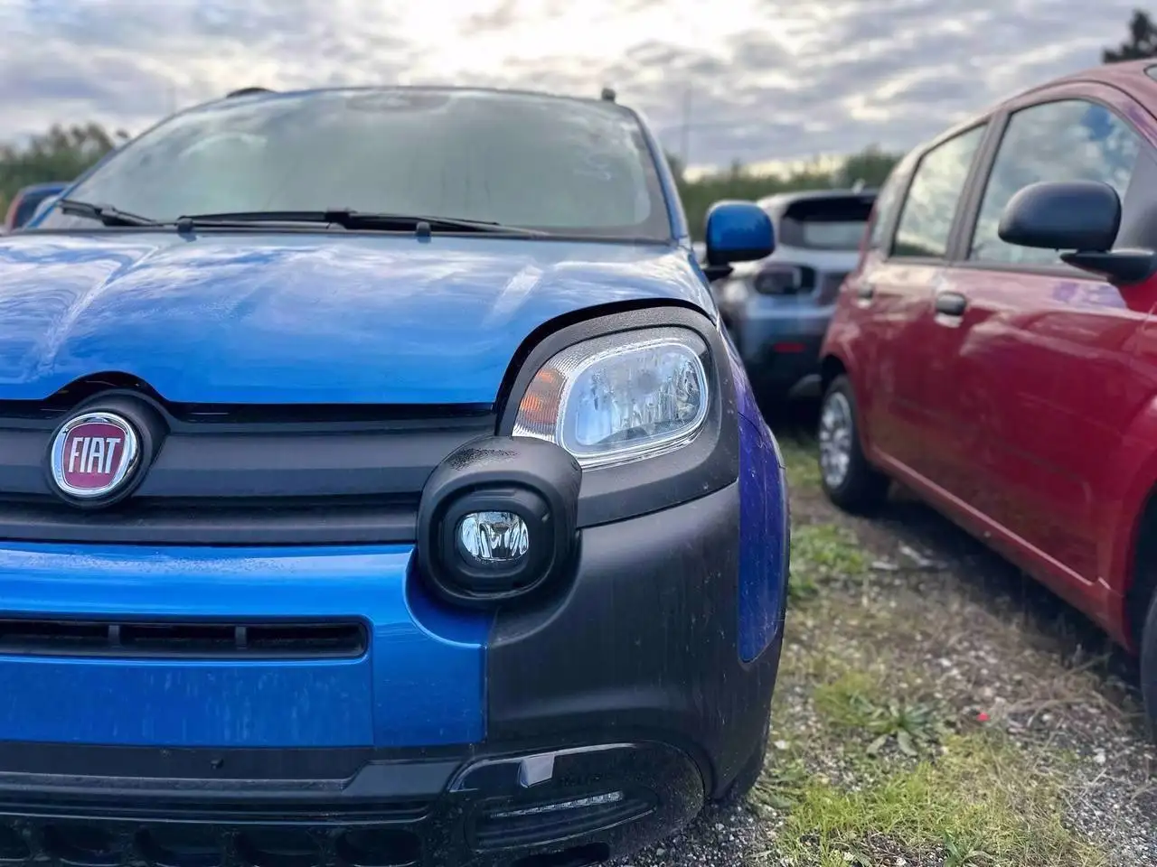 Fiat Panda 6