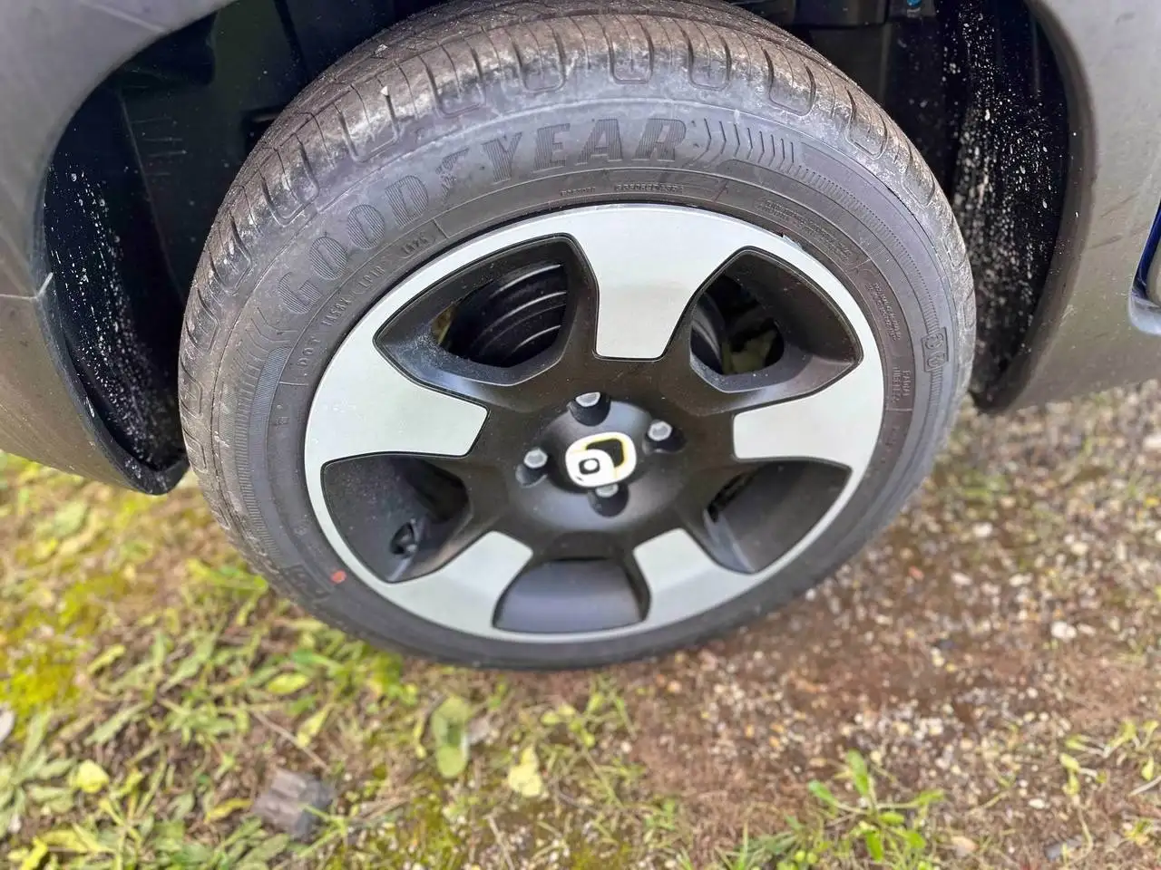 Fiat Panda 8
