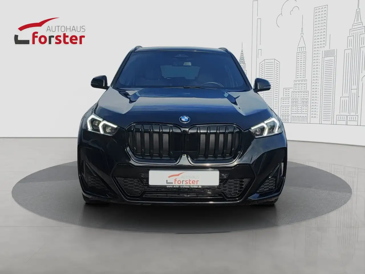 BMW X1 2