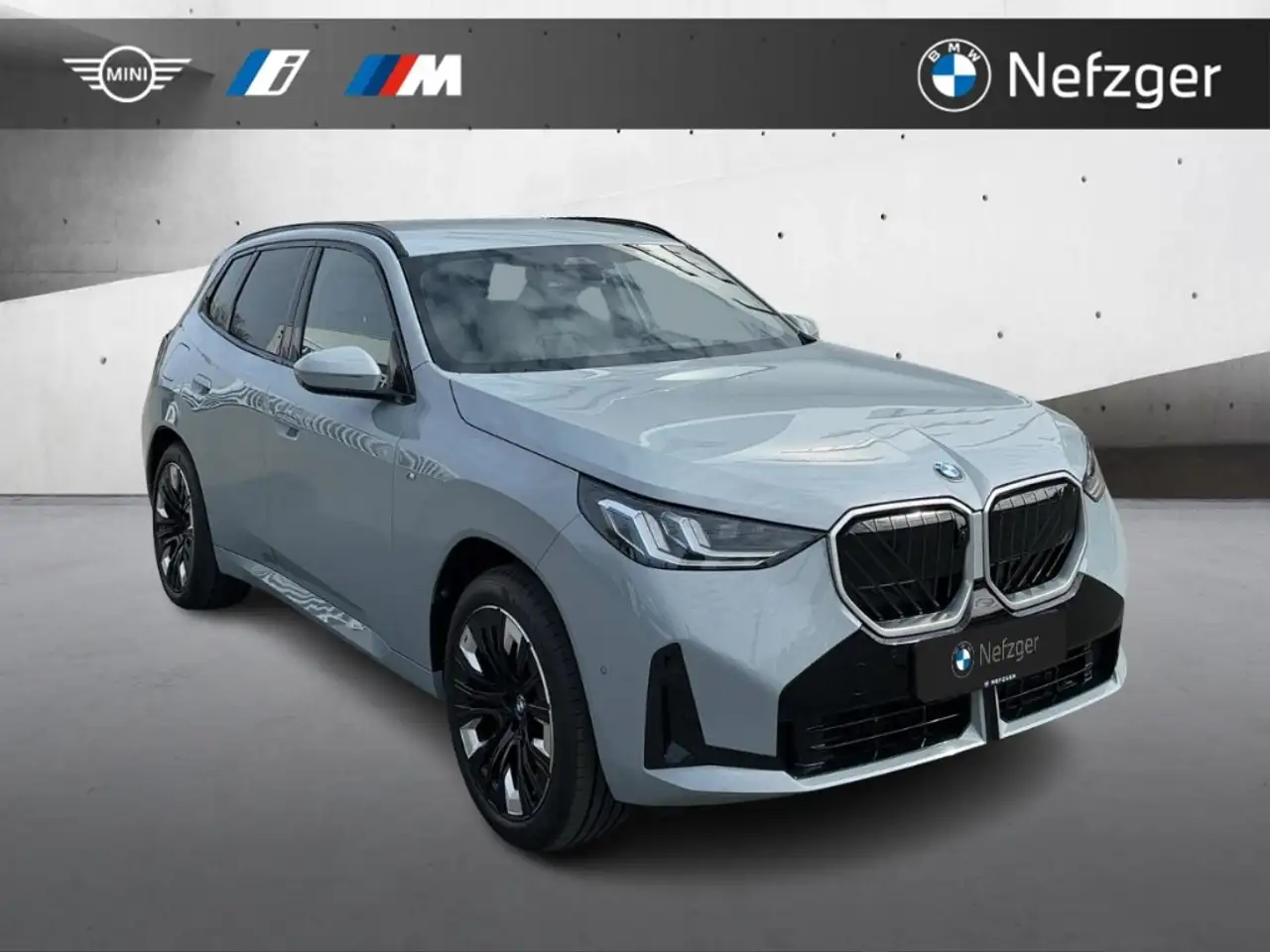 BMW X3 20 5