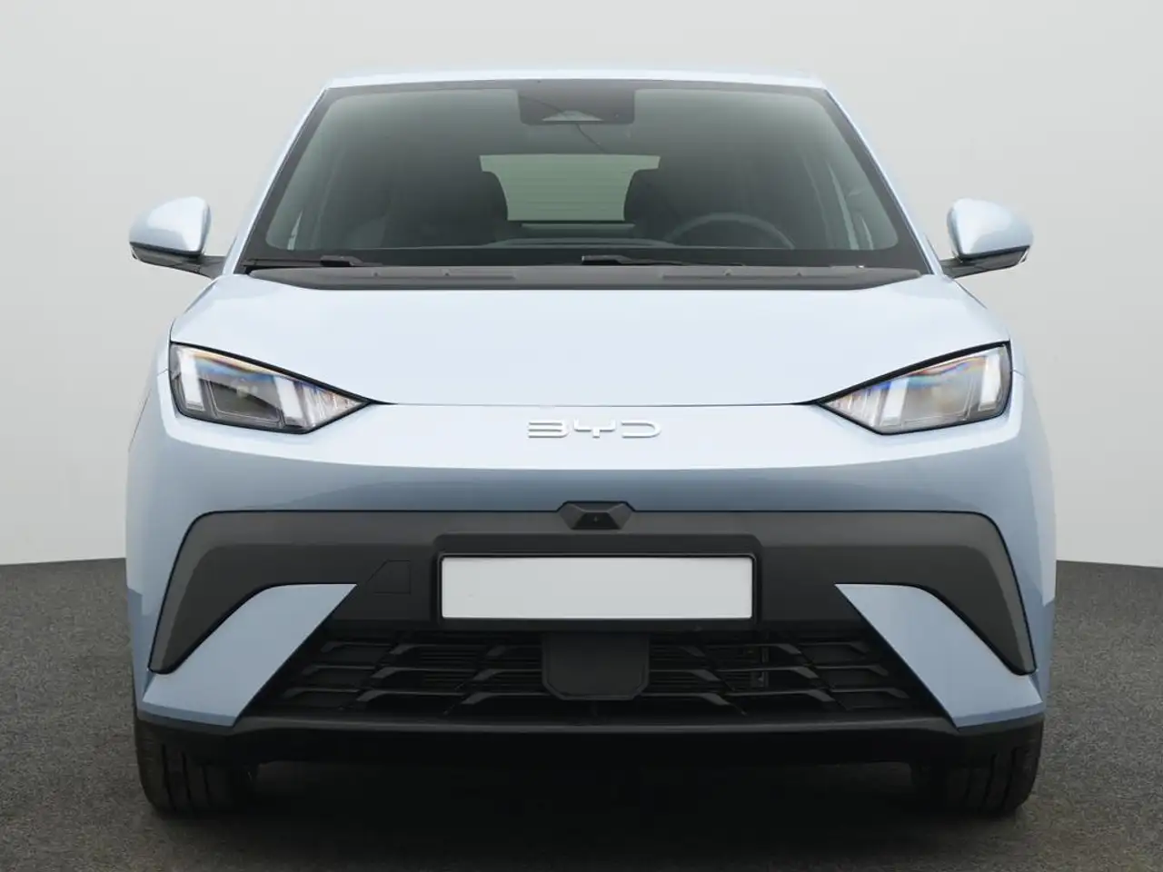 BYD Dolphin 4