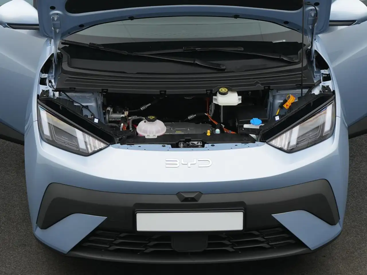 BYD Dolphin 7