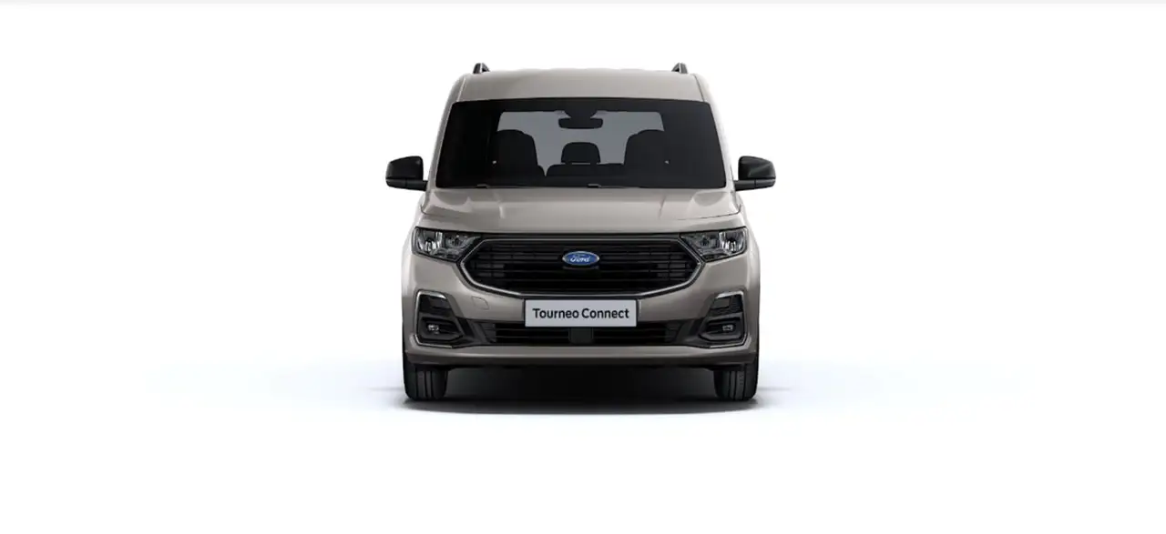 Ford Tourneo 12