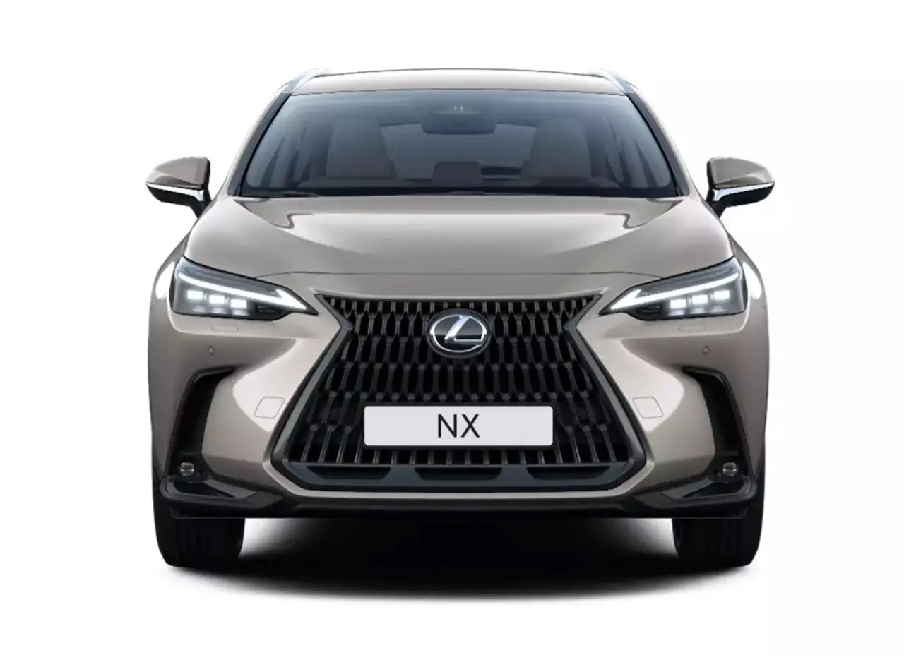 Lexus NX 4