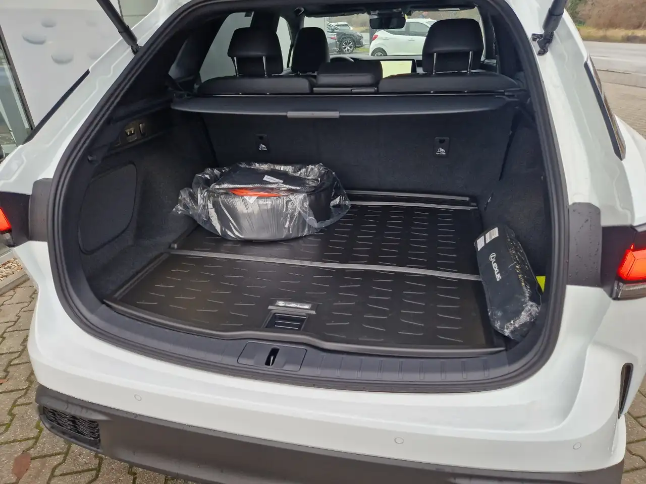 Lexus RX 12