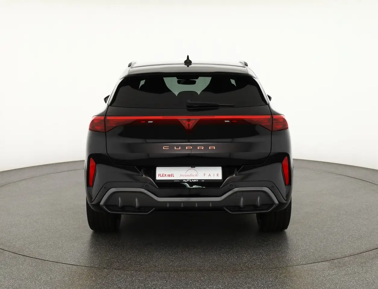 Cupra Terramar 4