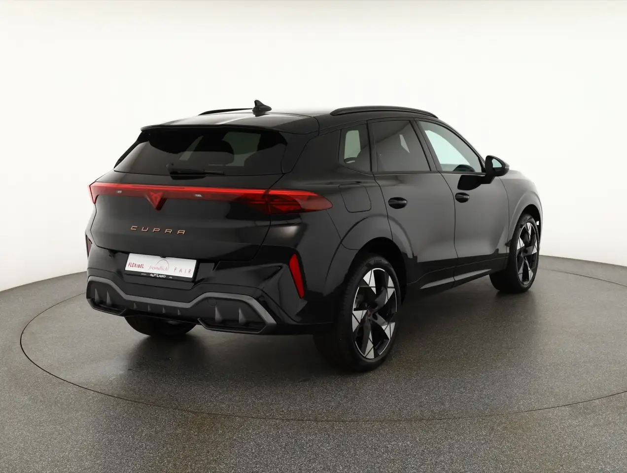 Cupra Terramar 5