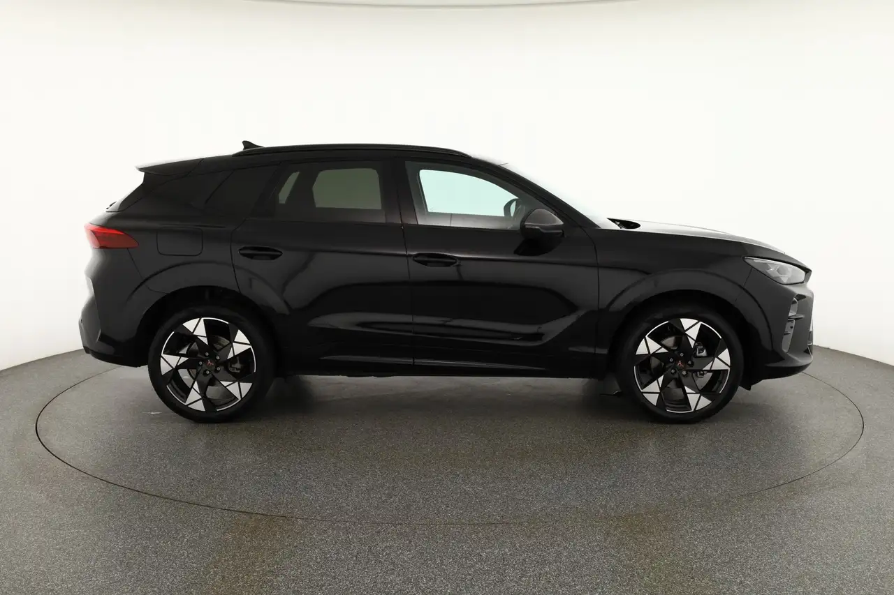 Cupra Terramar 6