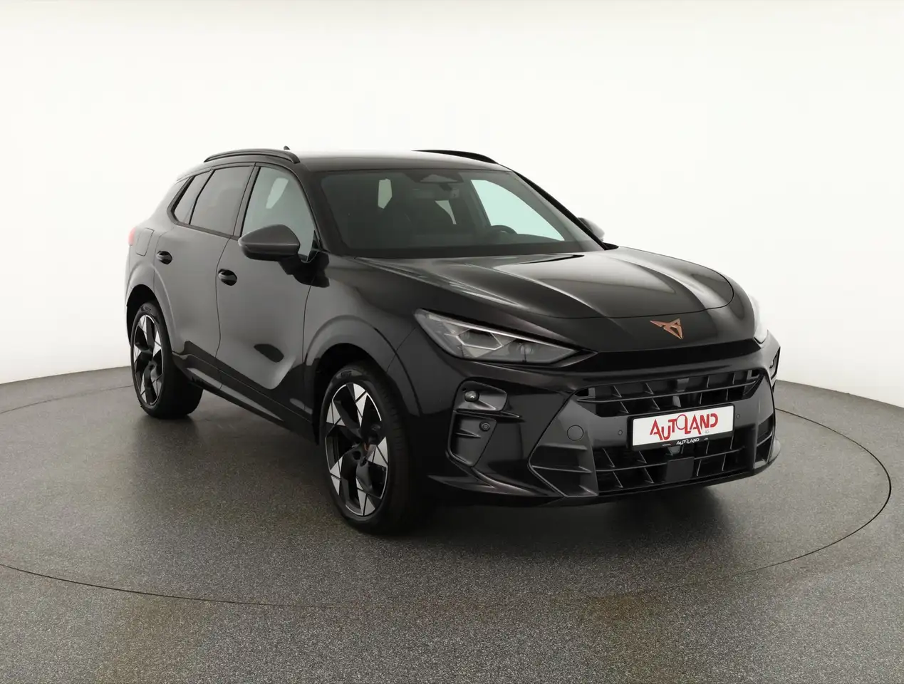Cupra Terramar 7