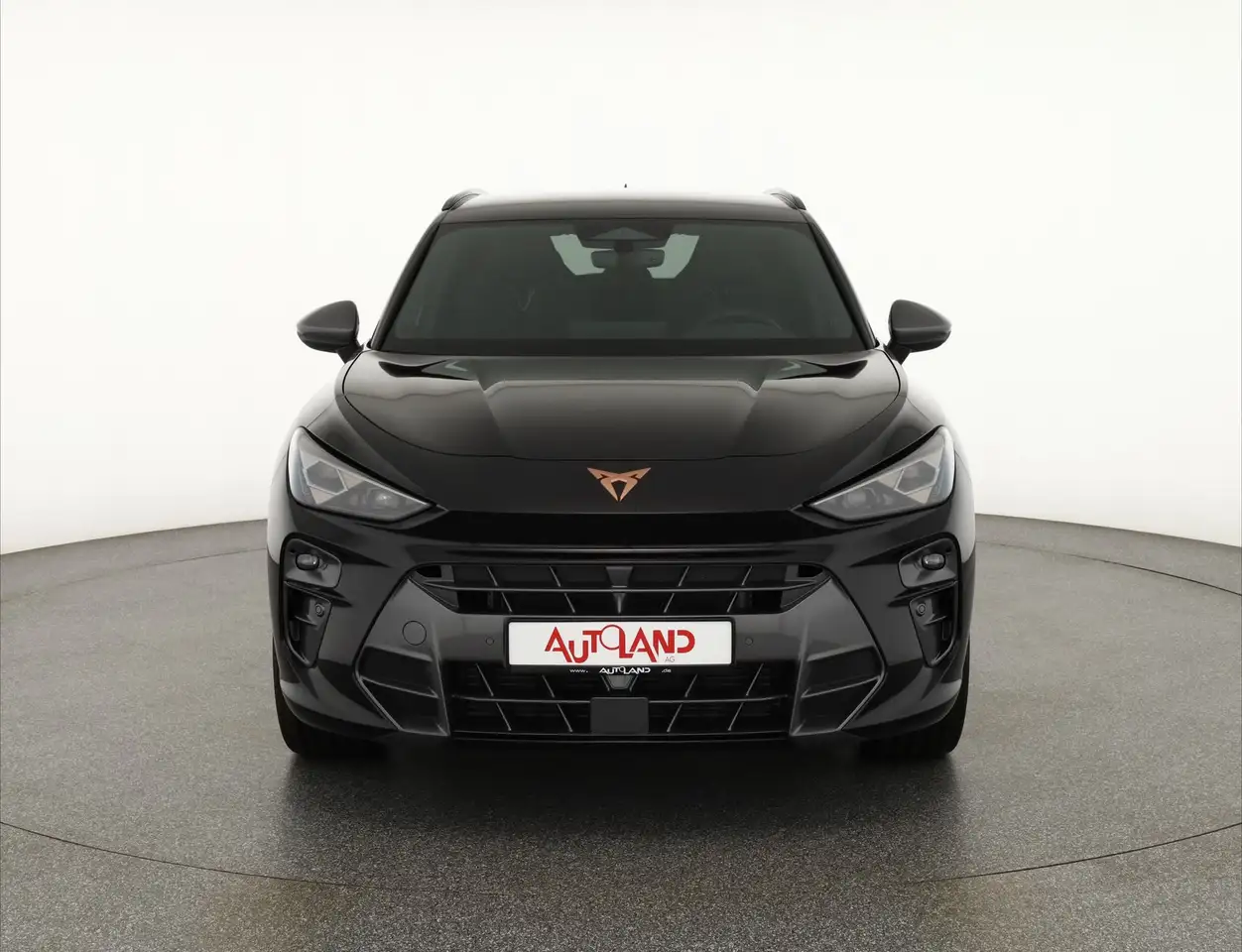 Cupra Terramar 8
