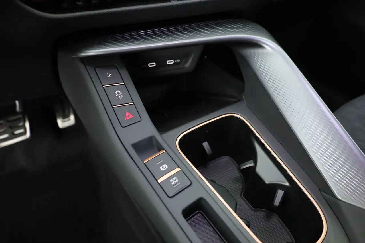 Cupra Terramar 12