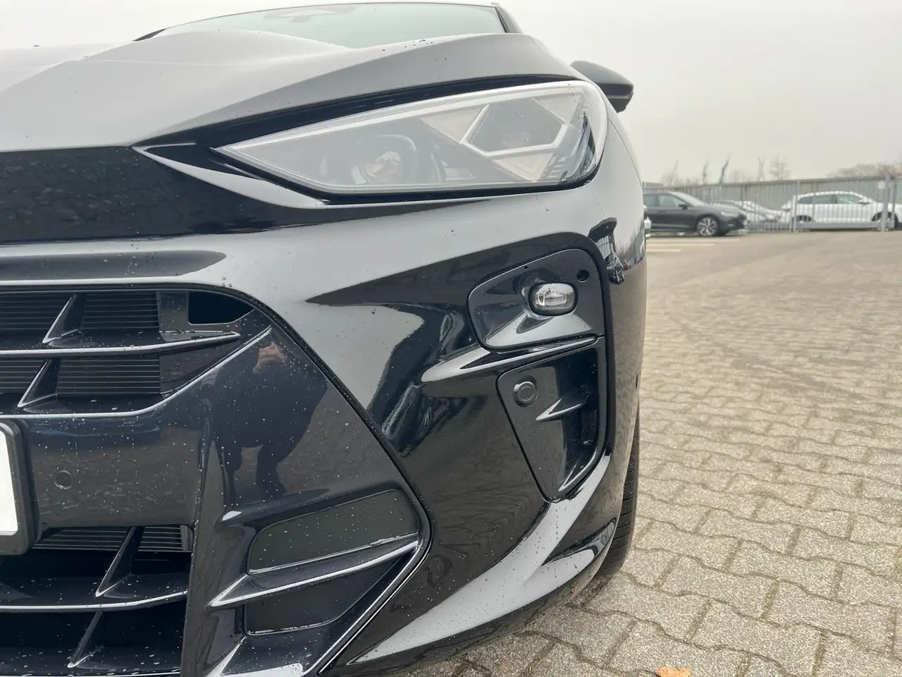 Cupra Terramar 6