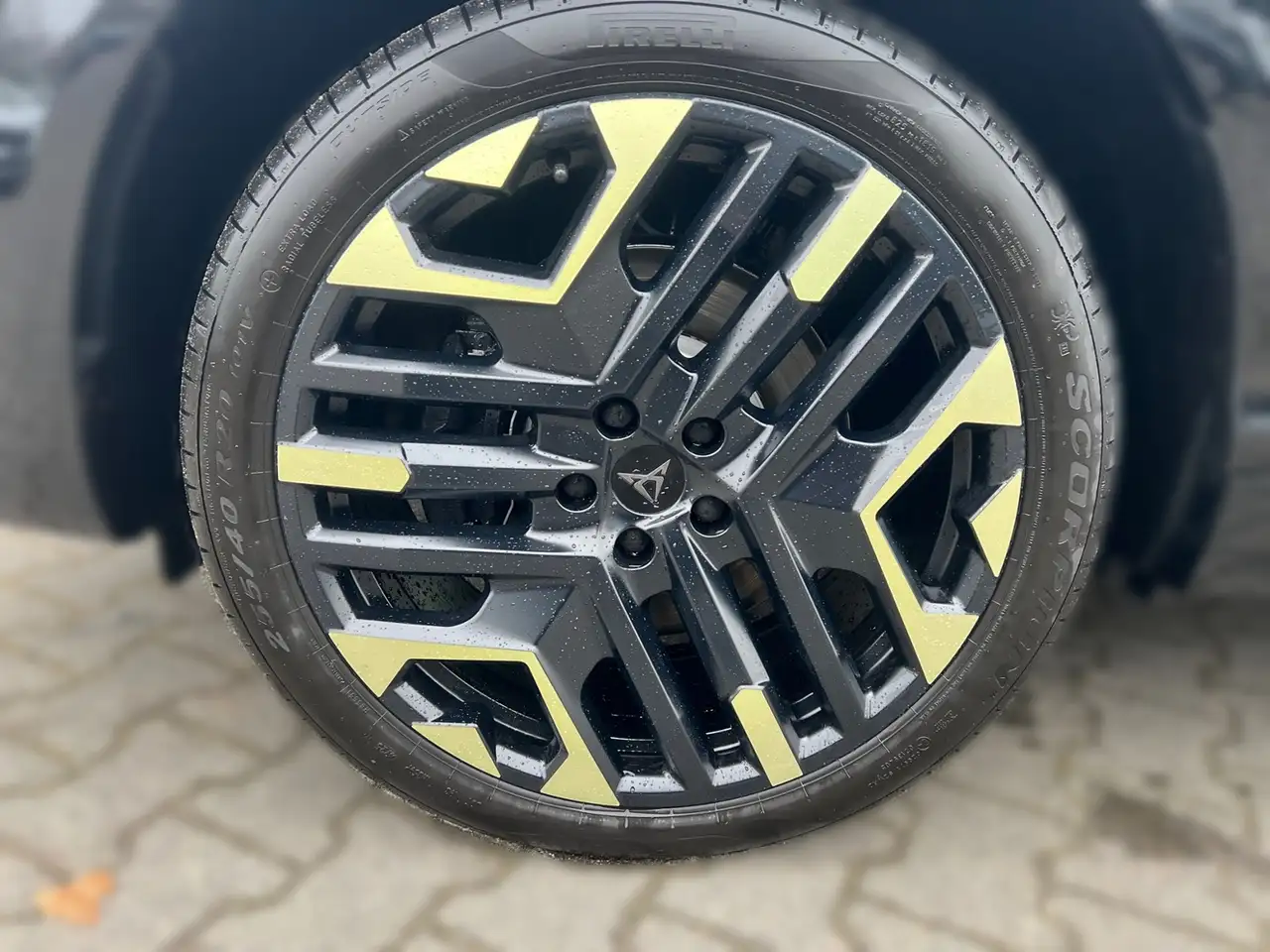 Cupra Terramar 7