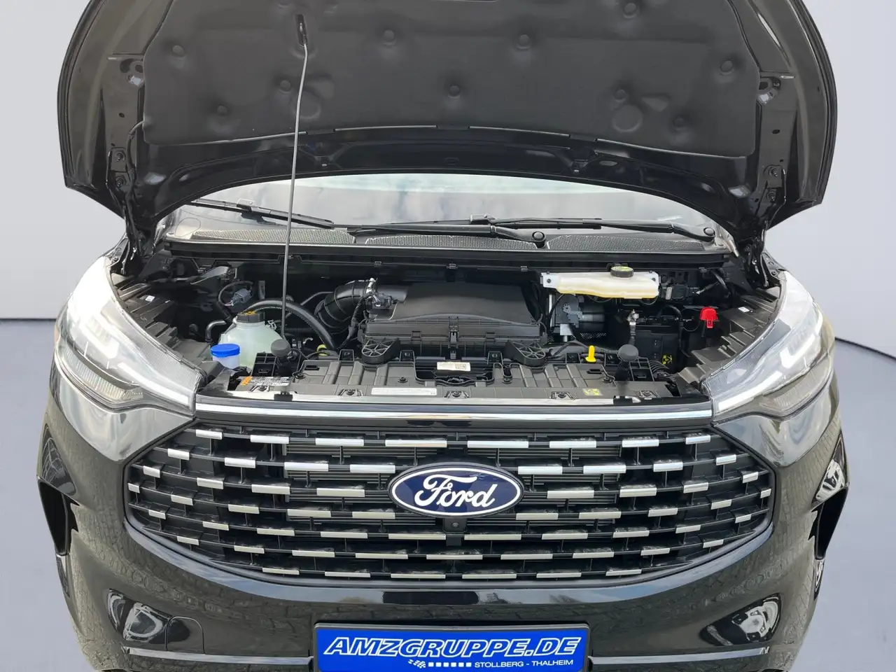 Ford Tourneo 9