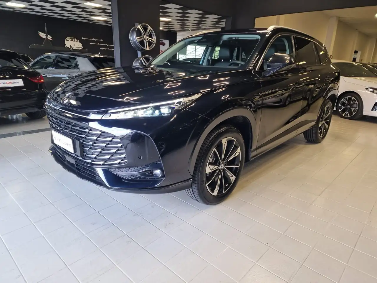 MG EHS HS 3