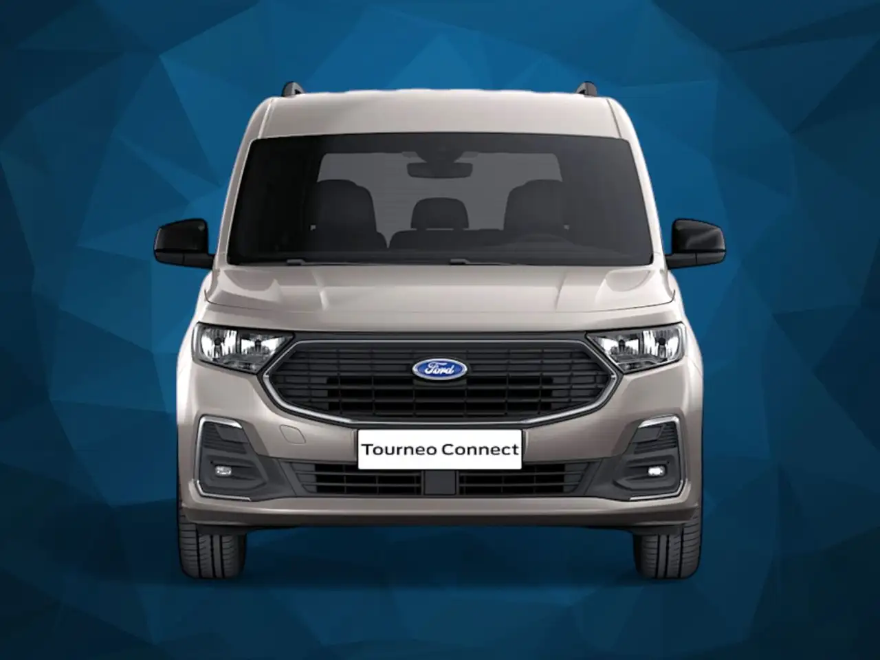 Ford Tourneo 3