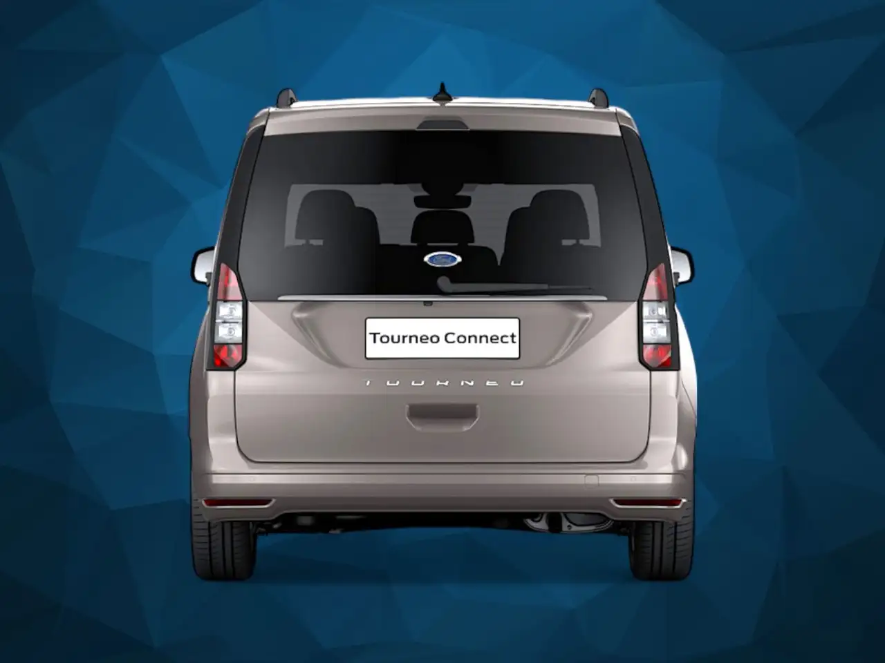 Ford Tourneo 4