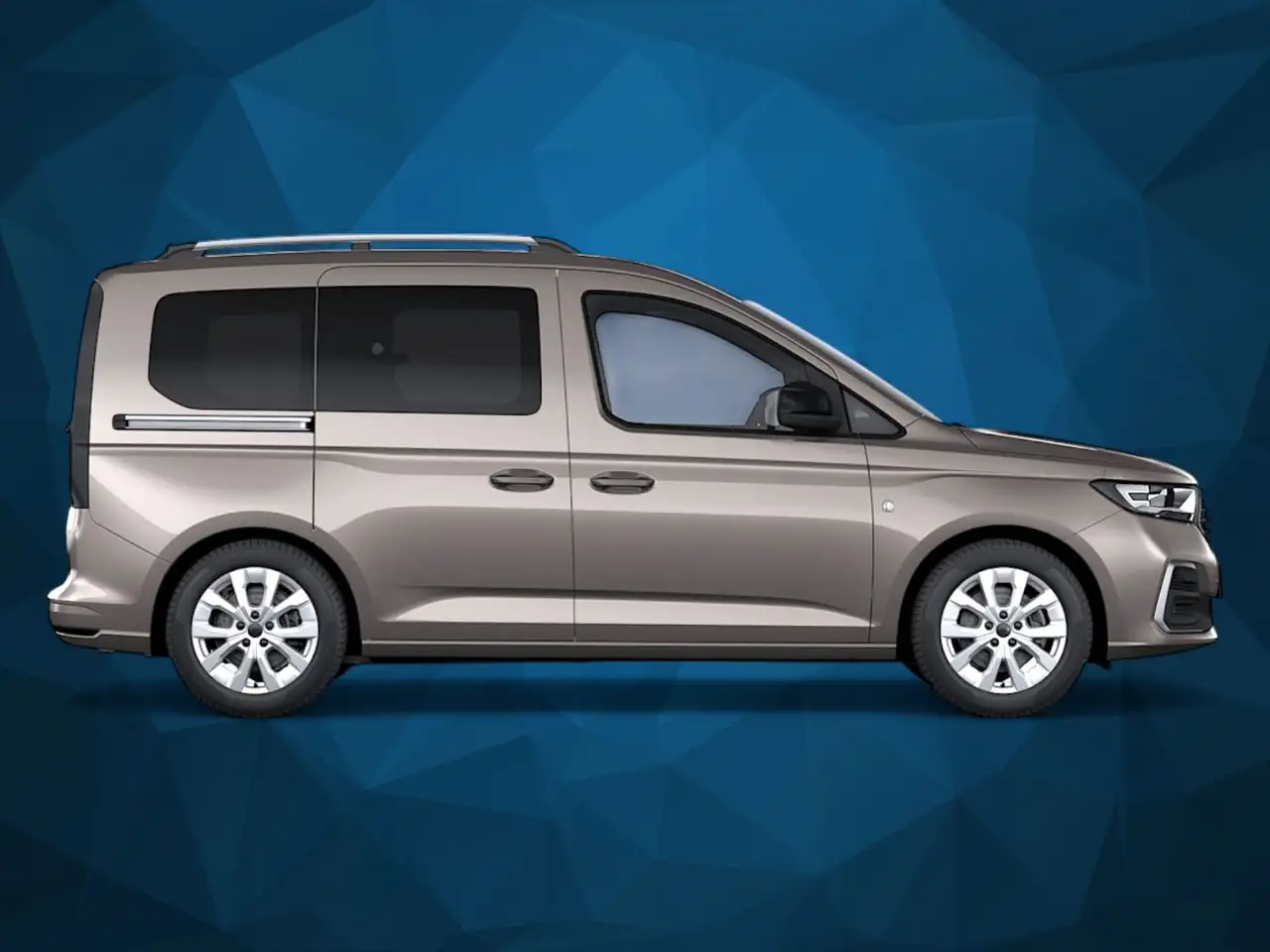 Ford Tourneo 9