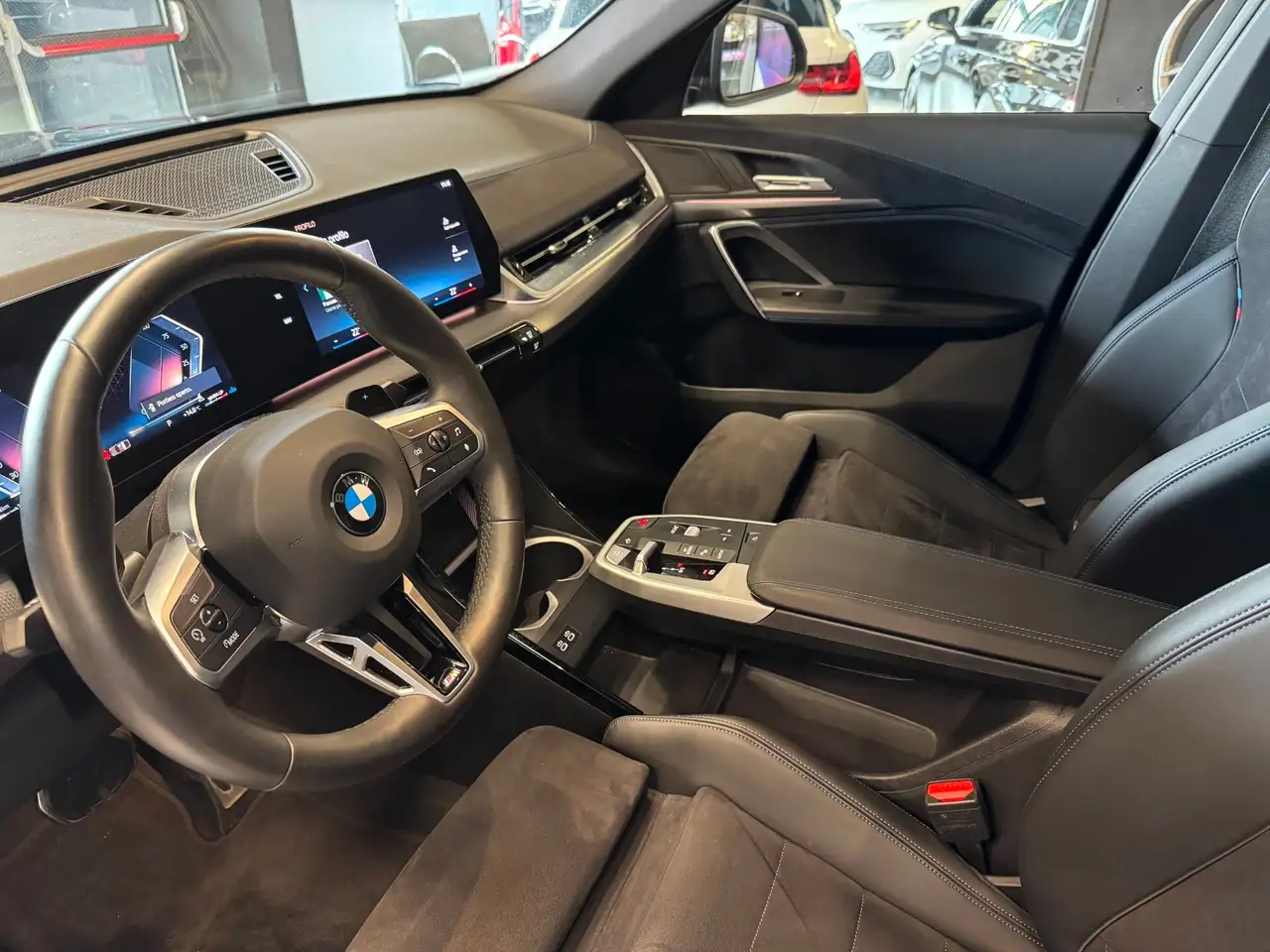 BMW X2 10