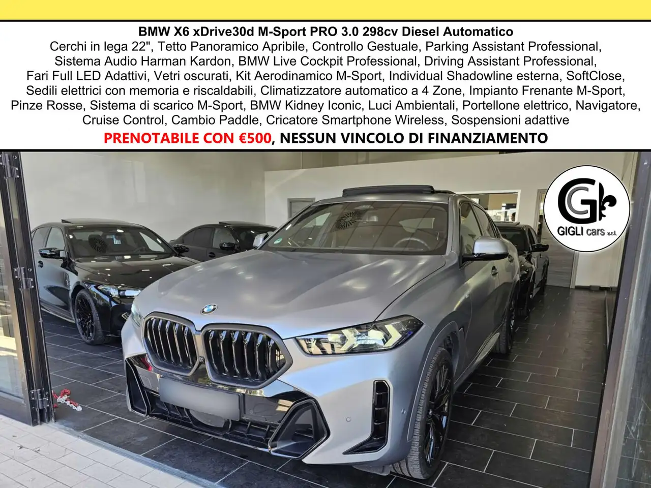 BMW X6