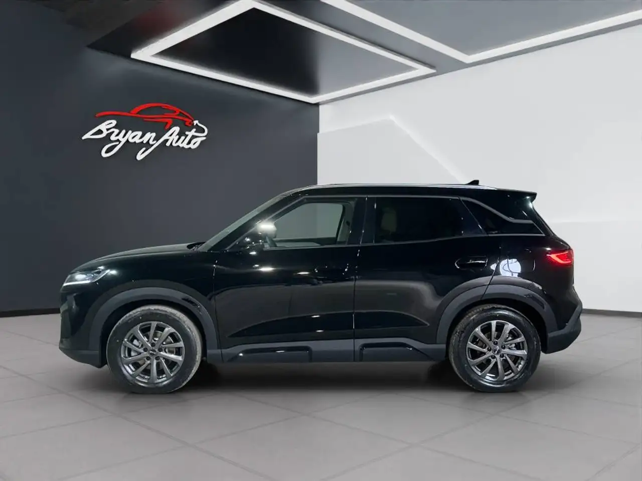 BYD Atto 2 6