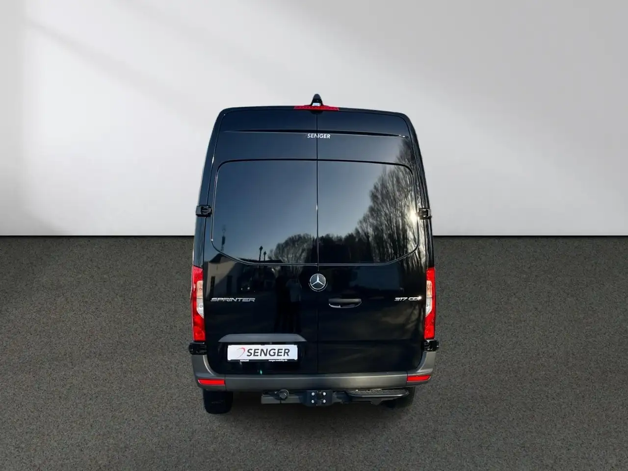Mercedes-Benz Sprinter 317 6