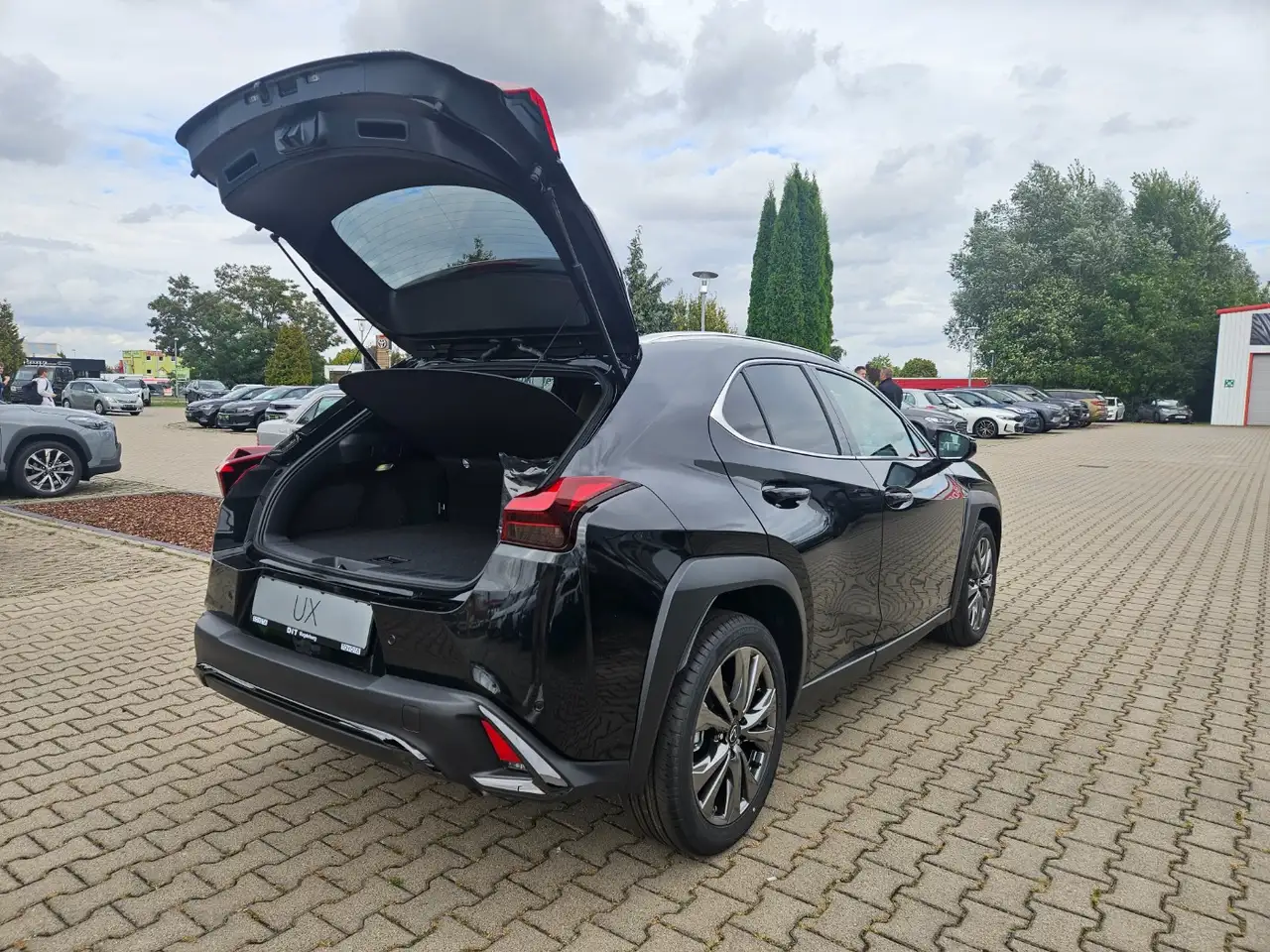 Lexus UX 9