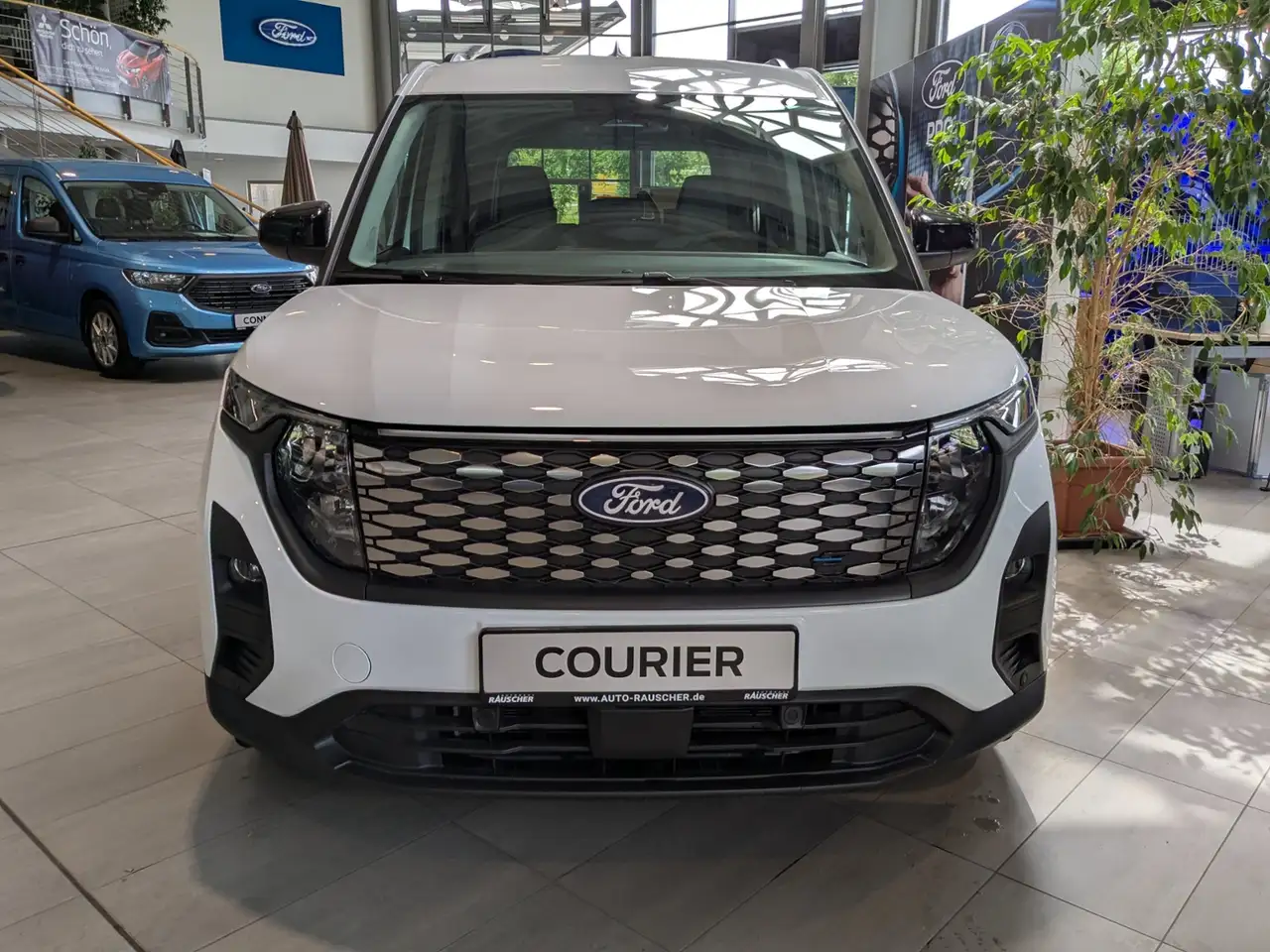 Ford Tourneo 7