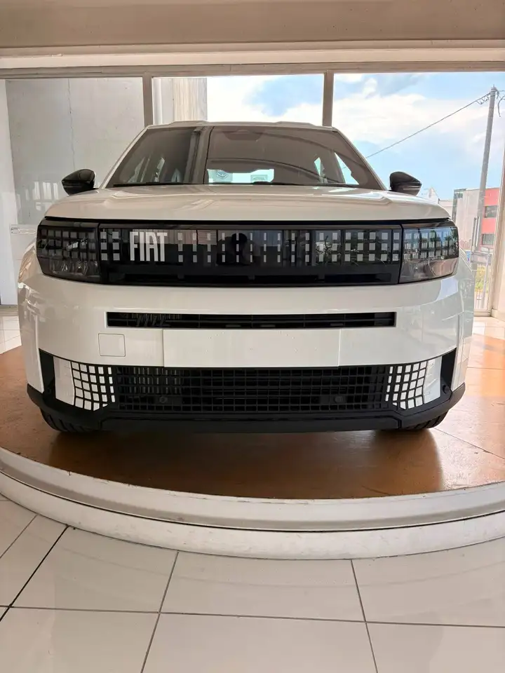 Fiat Grande 2