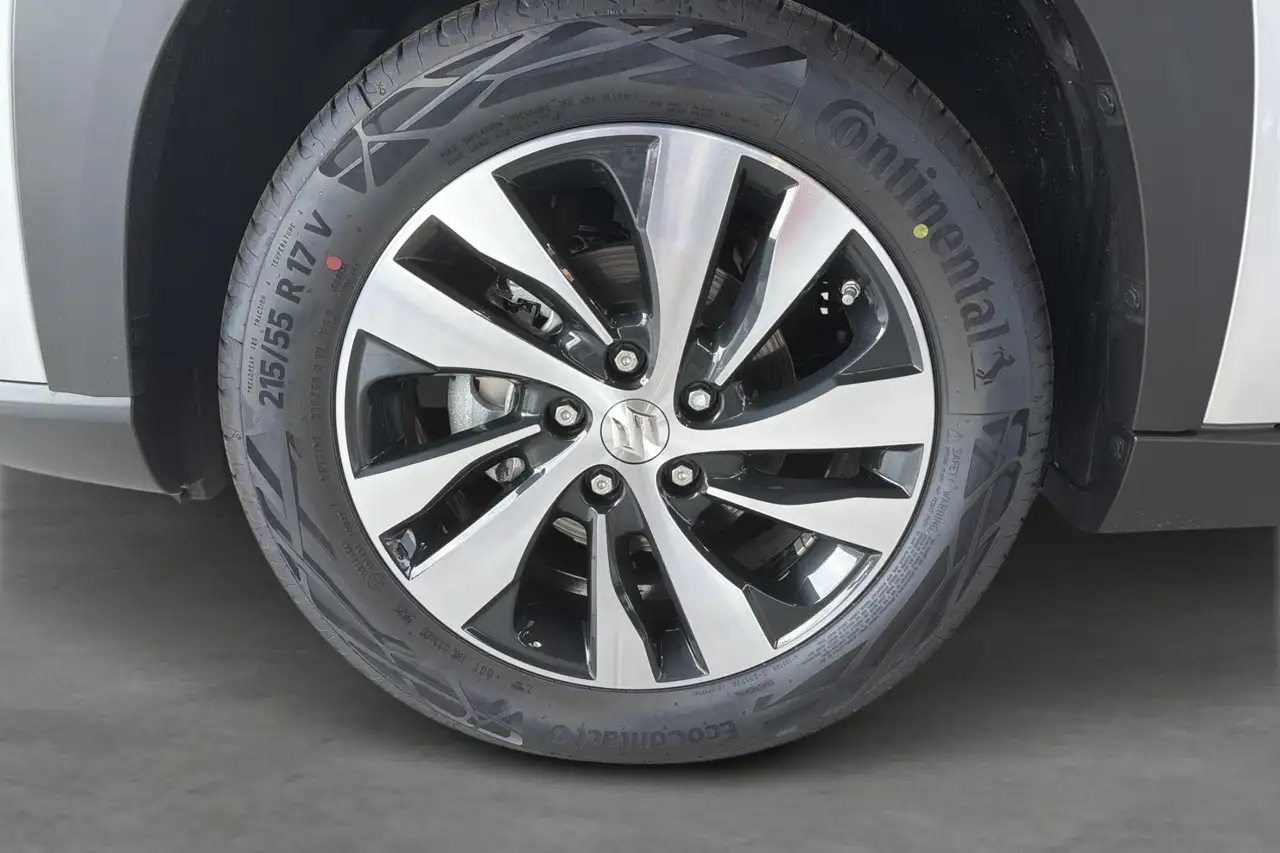 Suzuki S-Cross 9
