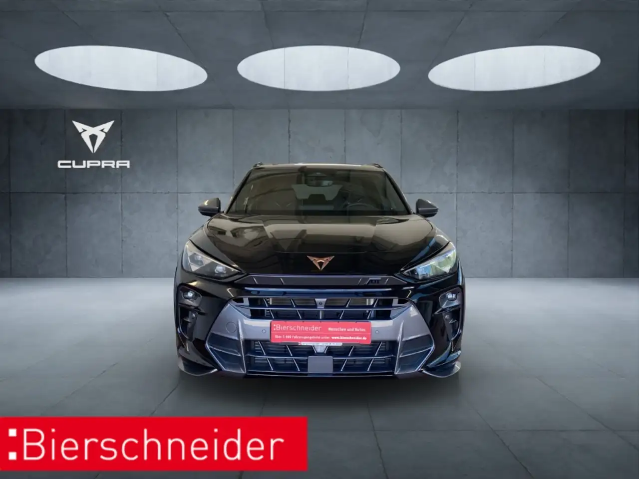Cupra Terramar 3