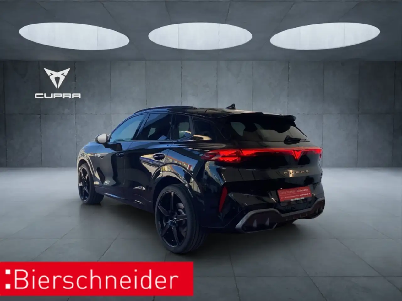 Cupra Terramar 8