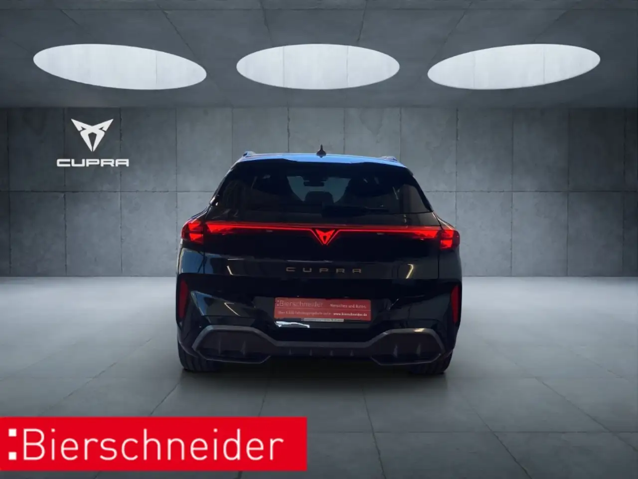 Cupra Terramar 9