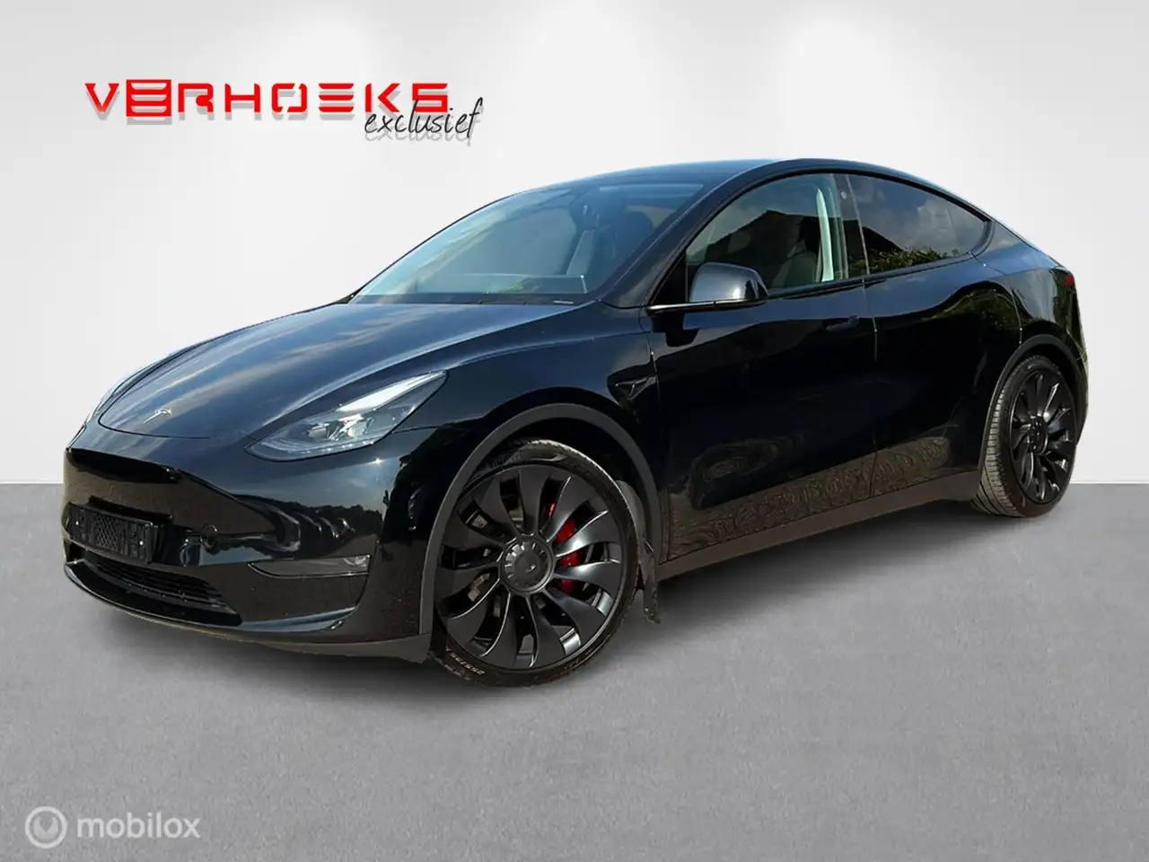 Tesla Model 5