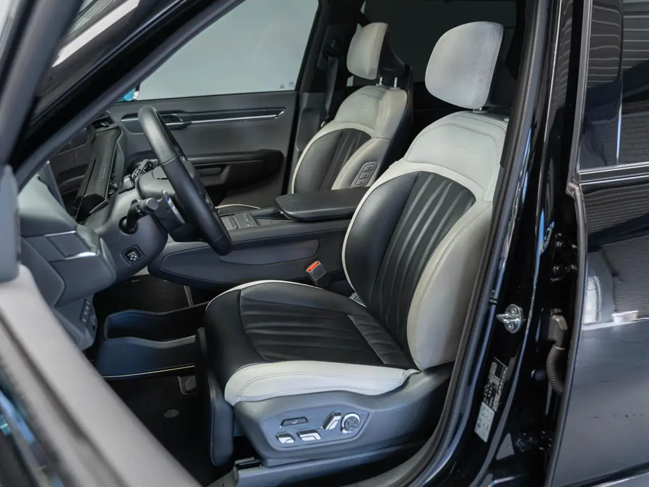 Kia EV9 11