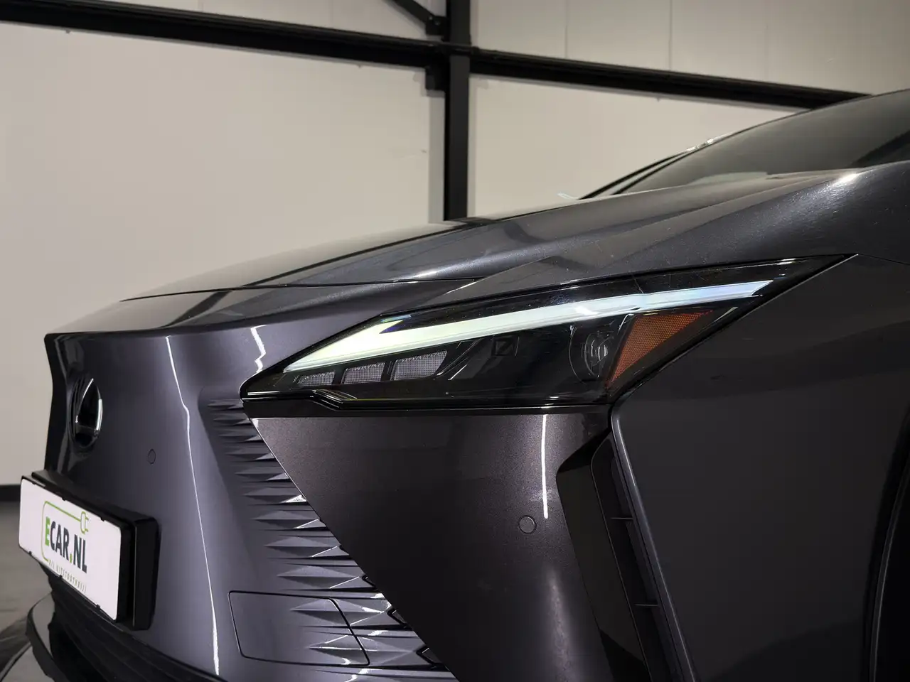 Lexus RZ 10