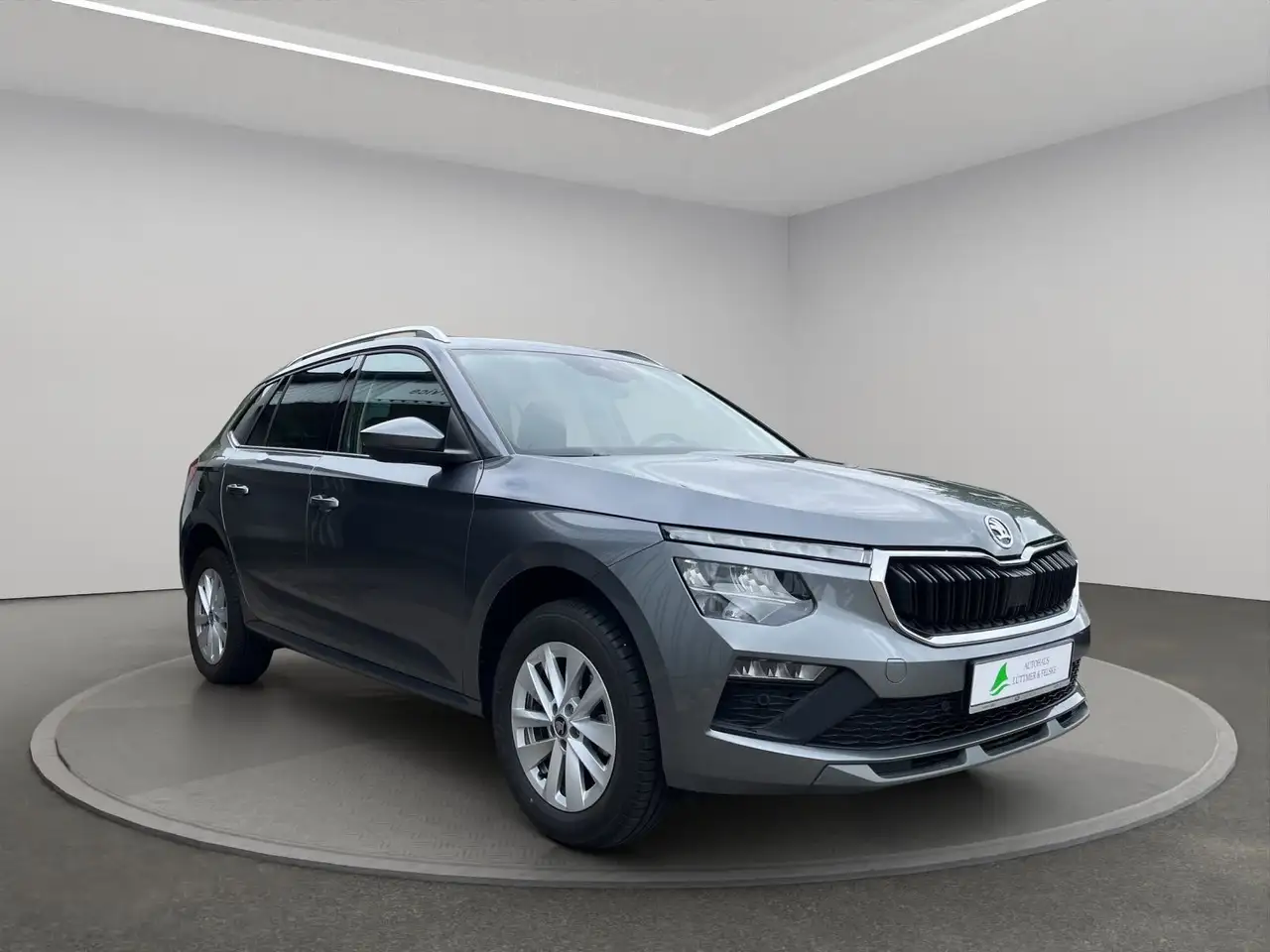 Skoda Kamiq 3