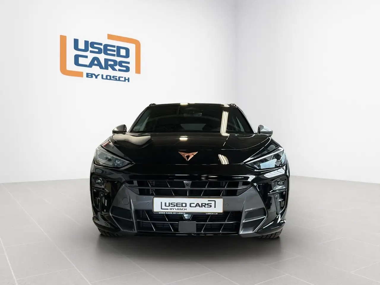 Cupra Terramar 3