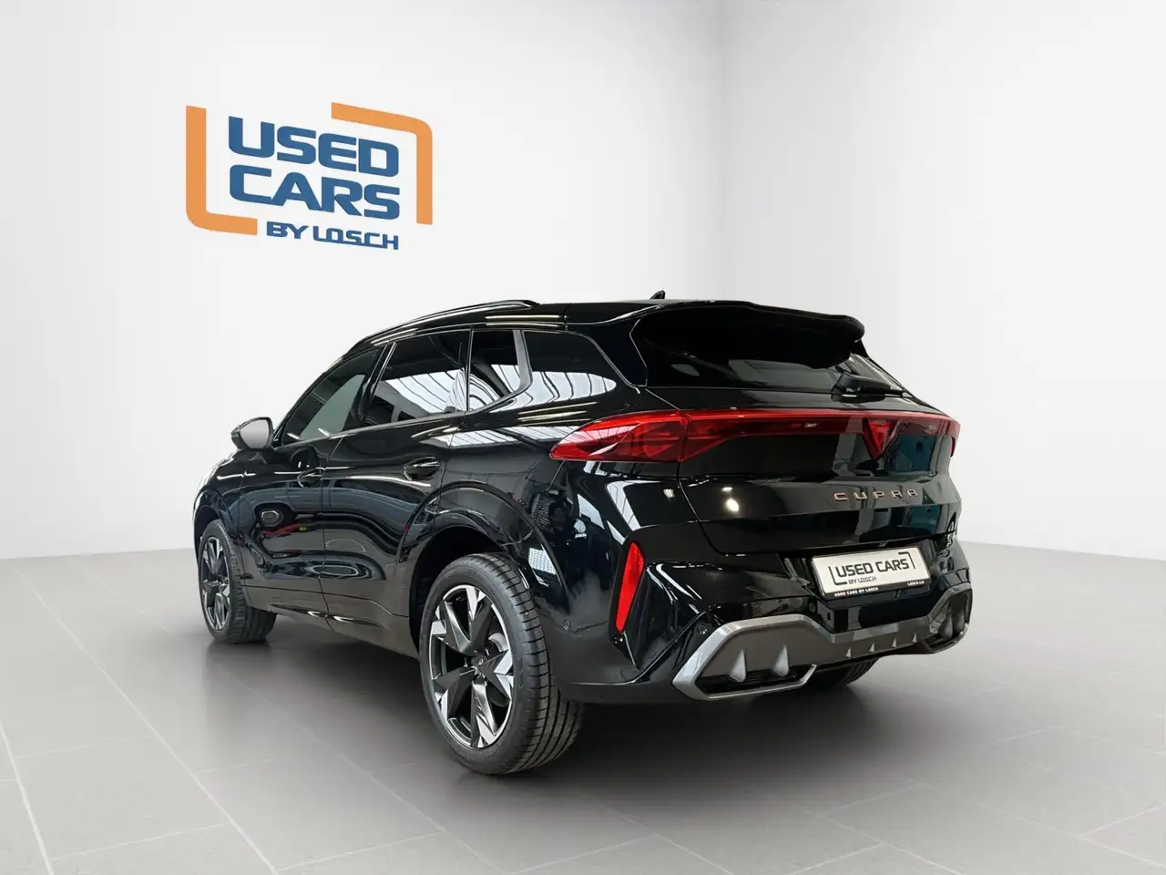 Cupra Terramar 6