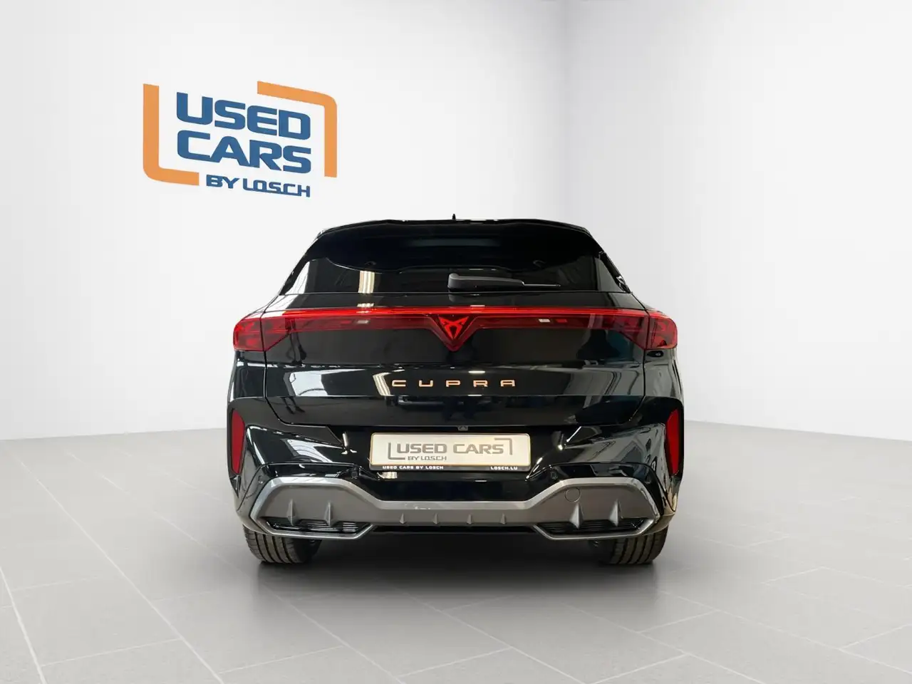 Cupra Terramar 7